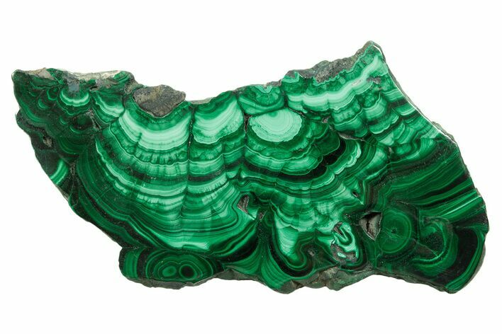 Polished Banded Malachite Slab - D R Congo #379779